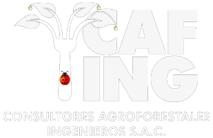 CAF-ING